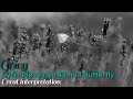 Grieg Lyric Pieces op.43 no.1 Butterfly.  Great interpretation.
