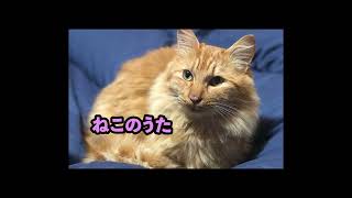 『ねこのうた』＠いなまる