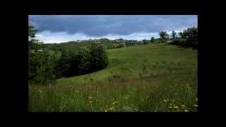 preview picture of video 'Oltr'Alpe Monghidoro: gli irriducibili del 31 maggio 2013'