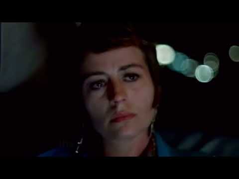 Le Lecon particuliere - (Festival Intro Mashup) (Nik Ryan)