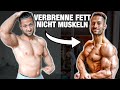 5 FATALE MiniCut Fehler die 95% begehen! (FETT VERBRENNEN & MUSKELN HALTEN)