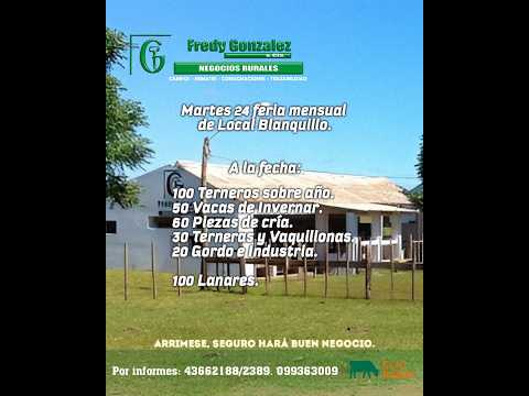 24/2/2026 Blanquillo - Durazno - Feria Mensual - Fredy González y Cía Ltda - Diego Prego