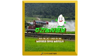 [ 주간농사정보 ] 6월 넷째주