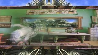 William Basinski  -     ( Excerpt )   WaterMusic II