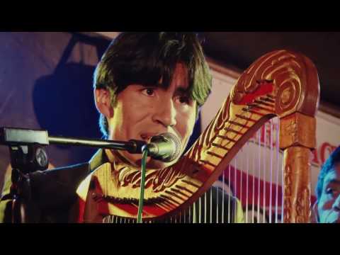 MIGUEL SALAS / el alisal