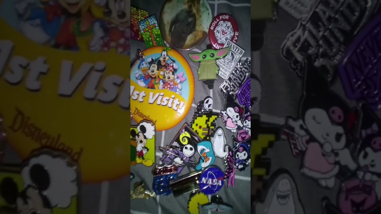 my current pin collection 2025