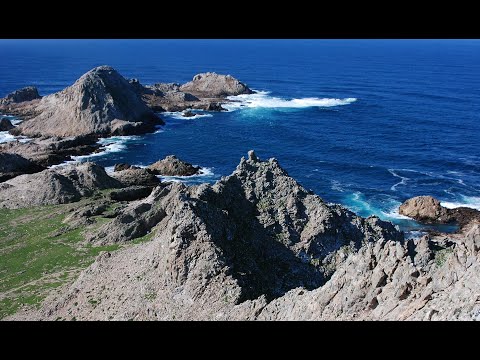 Farallon Islands Live Webcam | California Academy of Sciences