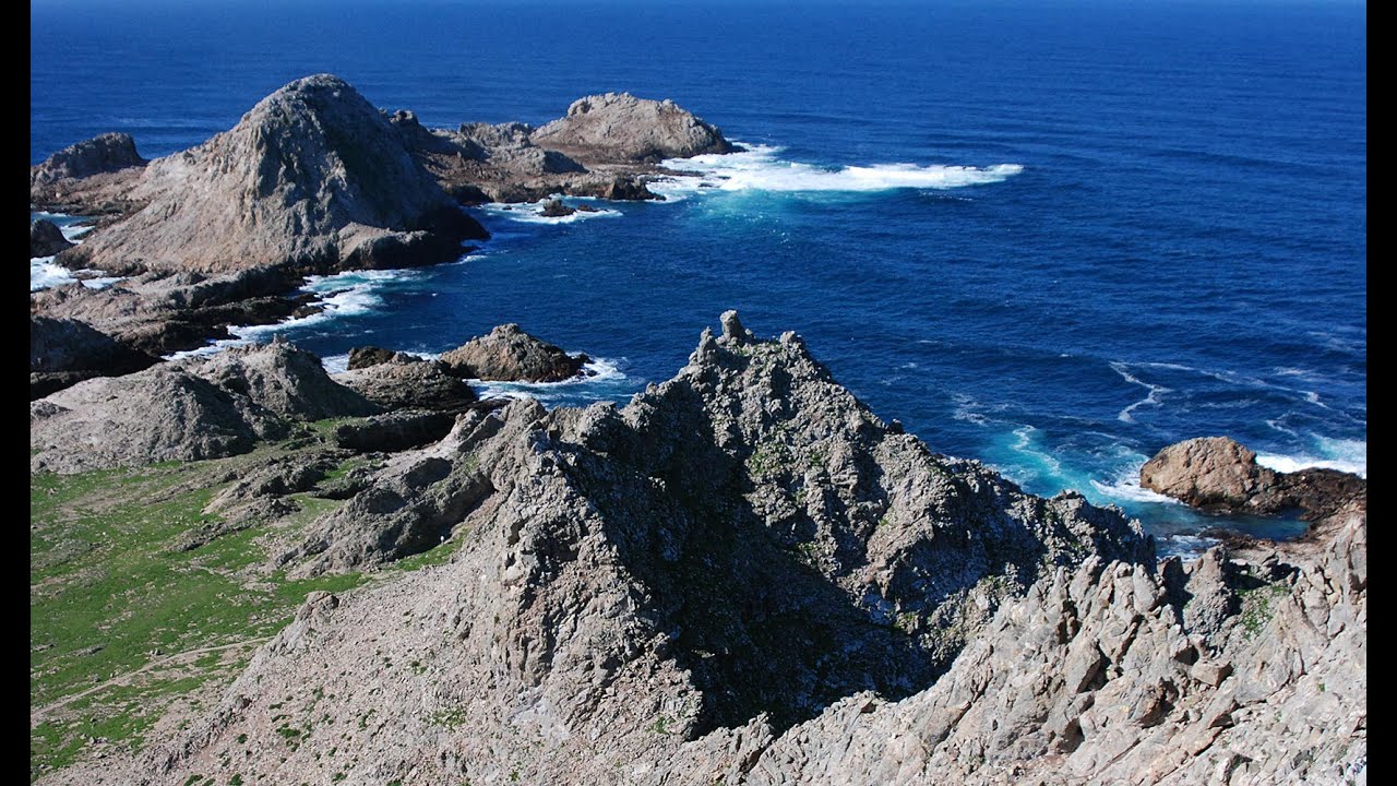 Live webcam view of Farallon Islands Lighthouse Lookout