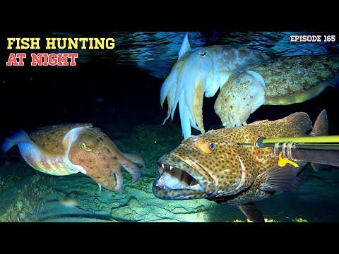 NIGHT SPEARFISHING EPISODE 165 | FISH HUNTING AT NIGHT