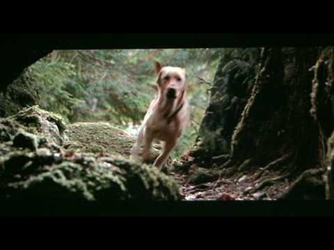 Far From Home: The Adventures Of Yellow Dog (1995) Official Trailer