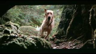 Far From Home: The Adventures of Yellow Dog (1995) theatrical trailer