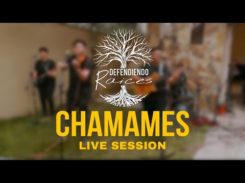 Defendiendo Raíces - Live Session - Chamames #ChamameJujeñazo