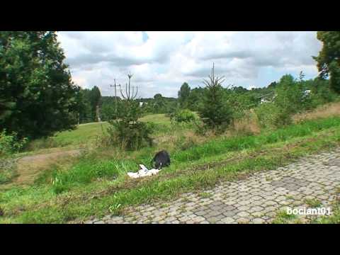 18 Rajd Rzeszowski 2009 Maciek Oleksowicz by bociant01