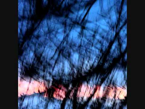 Kamod - Shujaat Hussain Khan Y Shyam Kane