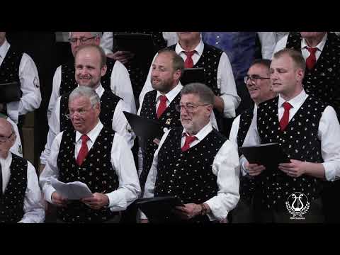 I hon di gern (Schüttelkopf)