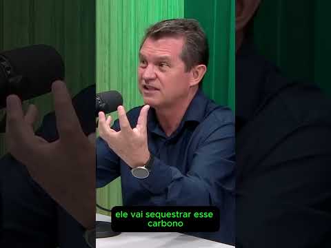 Até 2030, MS terá carbono negativo, avalia especialista em solo