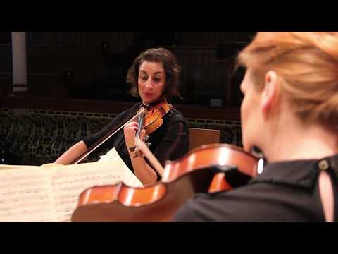 Mozart Performance by The Mavron Quartet