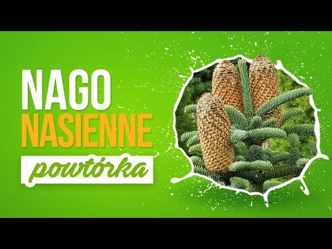 NAGONASIENNE - Powtórka z biologii