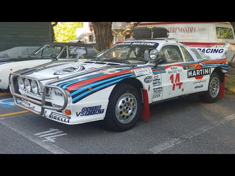 26 Vernasca Silver Flag 2022 paddock 11 giugno