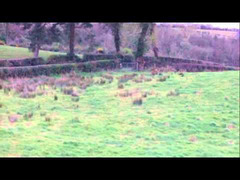 IRC Donnelly Group Circuit of Ireland Rally 2012