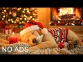 24 Hours Of Relaxing Music Deep Sleep Puppy Calm Music Dog Separation Anxiety Music Dogmusic