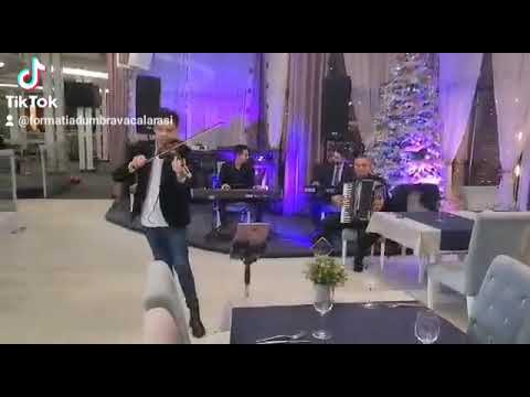 Andrei Constantin-Program de Virtuozitate