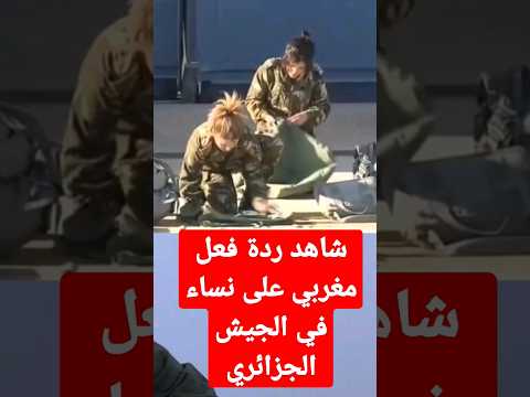 شاهد ردة فعل مغربي على نساء في الجيش الجزائري 2023 الجزائر المغرب