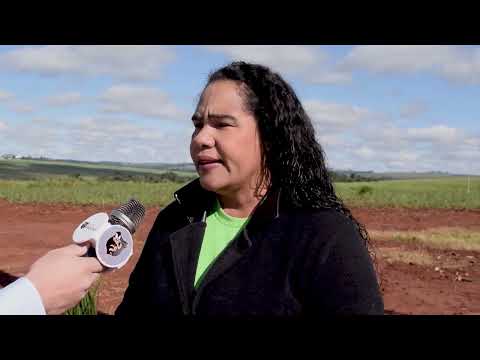 ASSOCIAÇÃO DOS MORADORES DO DISTRITO DE PULINÓPOLIS REALIZA REFORMA NA ENTRADA DO DISTRITO