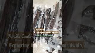 Download lagu Vanilla Beans Spice from Tanzania to the world. mp3 Download lagu Vanilla Beans Spice from Tanzania to the world. mp3