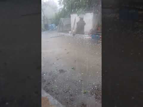 Valea Stânii Calarasi 3 iulie 2019