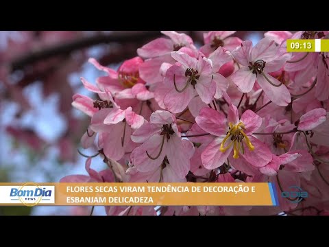 Flores secas viram tendência de decoração com delicadeza 22 07 2021