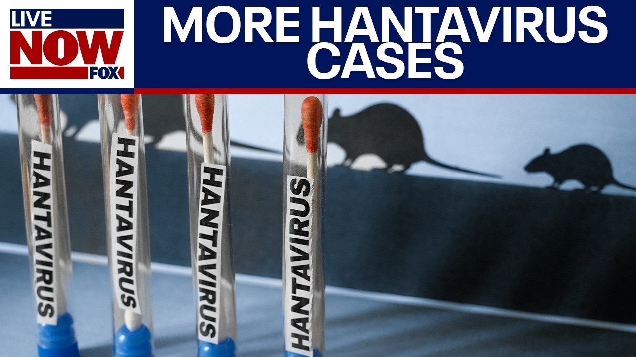 More cruise passengers test positive for hantavirus