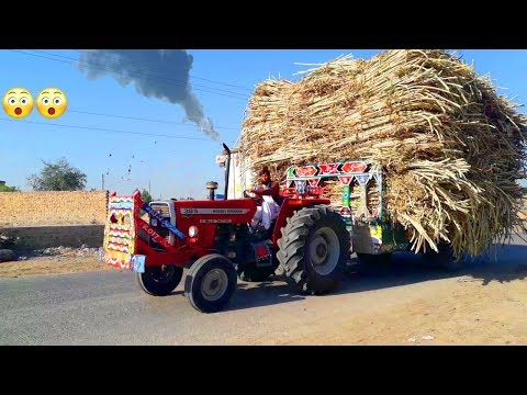 MF385 Tractor with Heavy Loaded Sugarcane Trolley