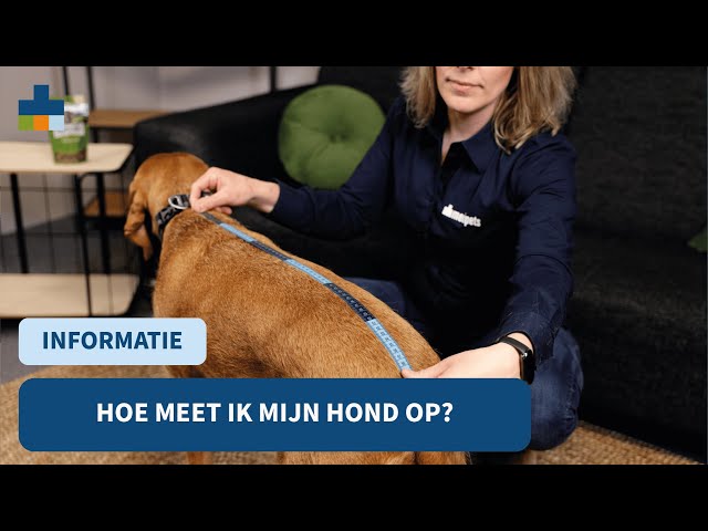 video-fHegXUXH_QU