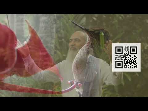 16 - Celestial - Hinário O Caminho do Coração