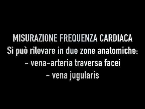 Misurazione parametri vitali degli equidi