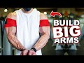 HOW TO GET BIGGER ARMS FAST (FULL WORKOUT)
