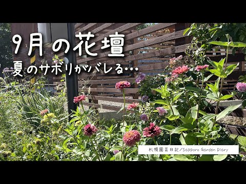 園芸 久しぶりの花壇