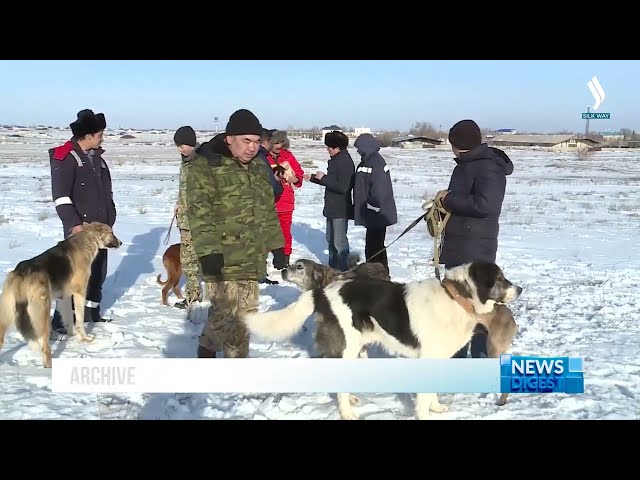 Қазақстанда ұлттық ит тұқымын сақтау үшін биоматериал мен ДНК банкі құрылуда