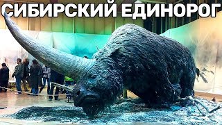 10 ВЫМЕРШИХ ЖИВОТНЫХ, КОТОРЫХ ВОСКРЕСЯТ В СКОРОМ ВРЕМЕНИ