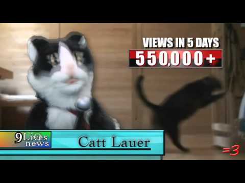 CATT LAUER REPORTING :D