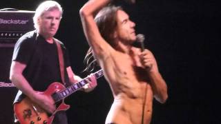 Iggy & Stooges "Louie Louie" (2011 San Francisco)