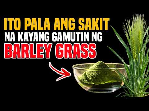BARLEY GRASS - MATINDI PALA ANG EPEKTO NITO | 10 Benepisyo ng Pag Inom ng Barley Grass