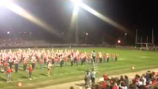 Shelby Whippet Band