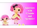 Lalaloopsy Interview With Crumbs And Sprinkle