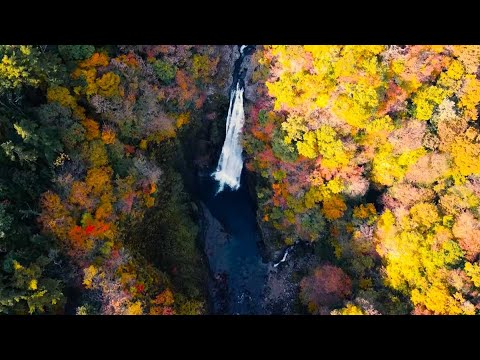 【宮城県観光映像】紅葉の秋保大滝