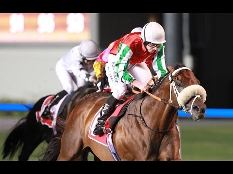 BANKABLE BY MEDICIAN (2012)