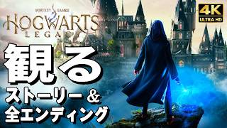 【観るゲーム】ホグワーツレガシー【映画風ストーリー】【全エンディング＆寮ごとに違いのあるクエストも収録】日本語音声 日本語字幕 4K60FPS PC最高画質+ Hogwarts Legacy