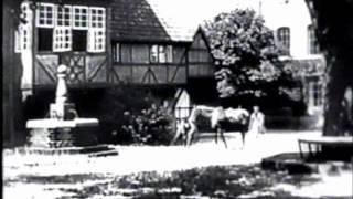 Nosferatu - Parte 1 Con audio en español (1922) (F.W. Murnau)