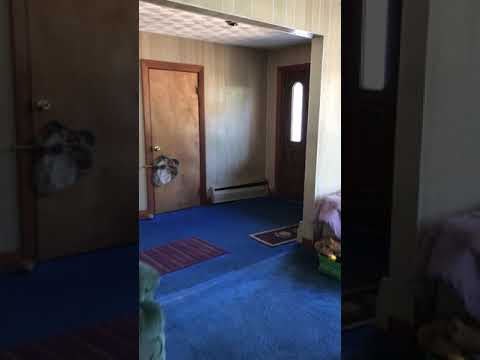 112 Nichols St, Wilmington, MA #1